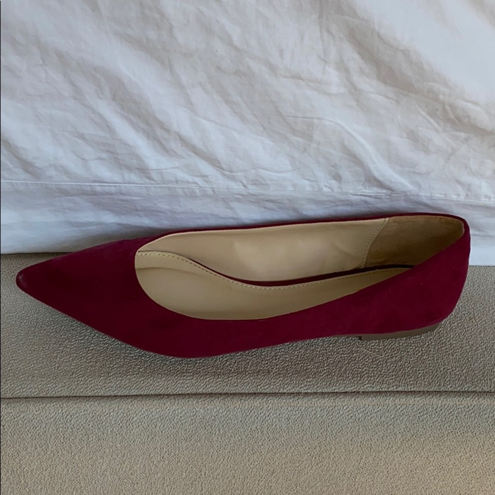 Circus by Sam Edelman pointed toe flats